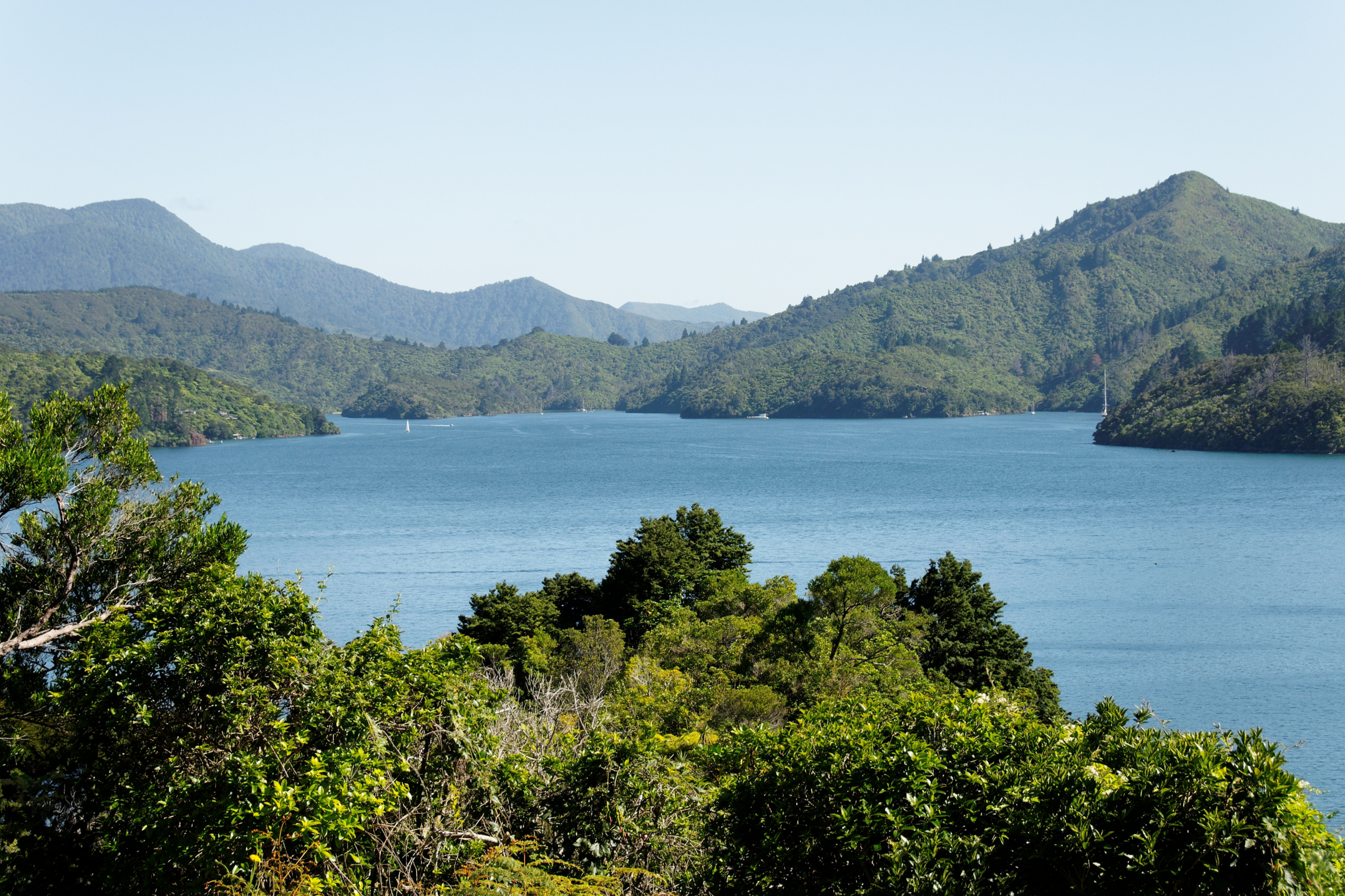 121 marlborough sounds.webp